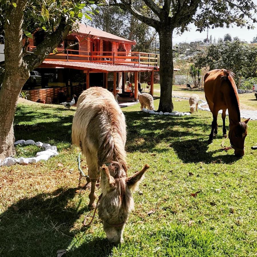 La Granja De Papa Alberto Puembo Extérieur photo